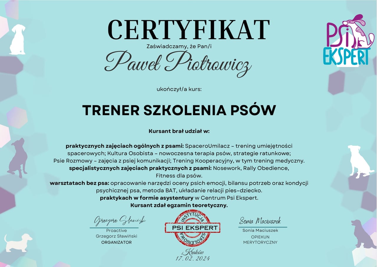 Certyfikat — Trener szkolenia psów, Paweł Piotrowicz