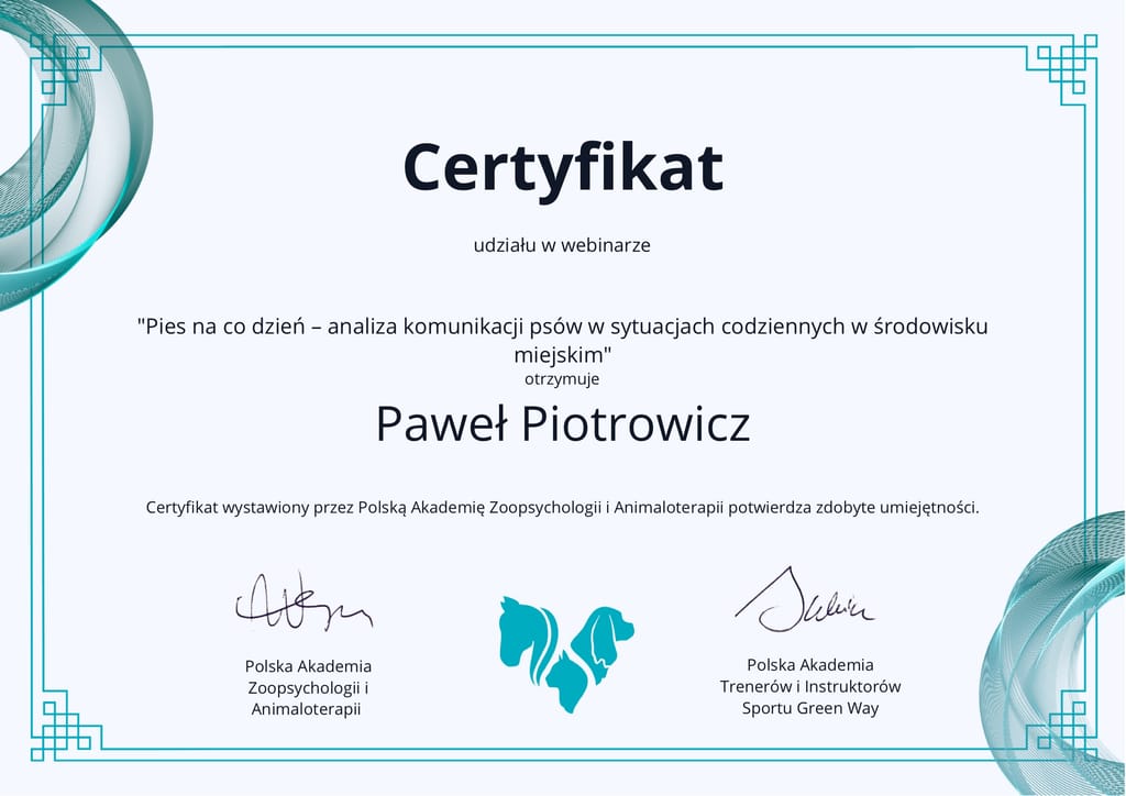 Webinar — Pies na co dzień, Paweł Piotrowicz